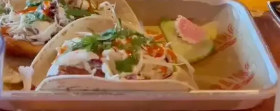 Terlingua Portland Maine